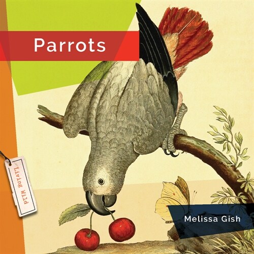 Parrots (Paperback)