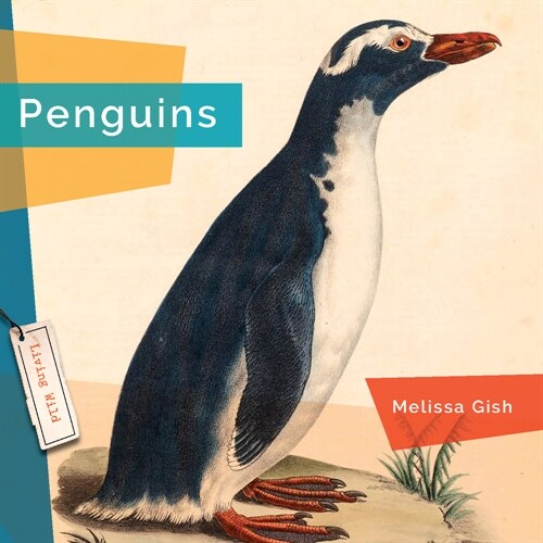 Penguins (Paperback)