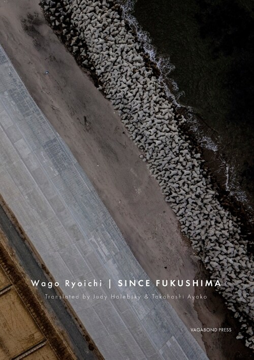 Since Fukushima (Paperback)