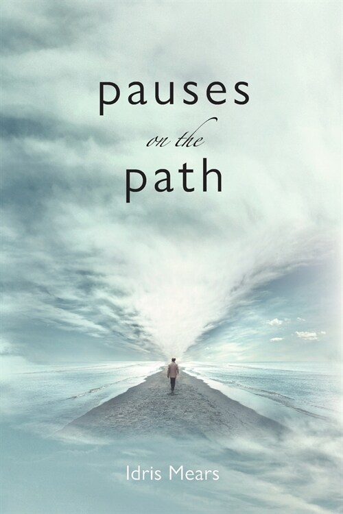 Pauses on the Path (Paperback)