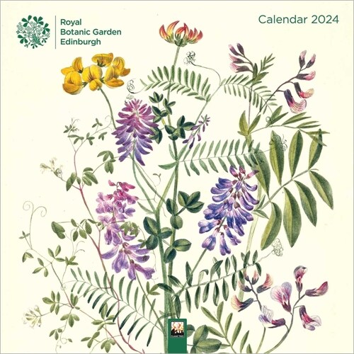 Royal Botanic Garden Edinburgh Wall Calendar 2024 (Art Calendar) (Calendar, New ed)