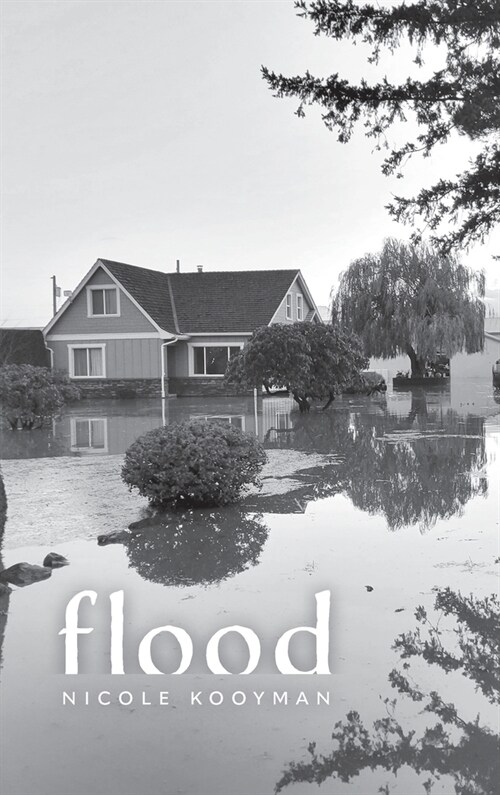 flood (Hardcover)