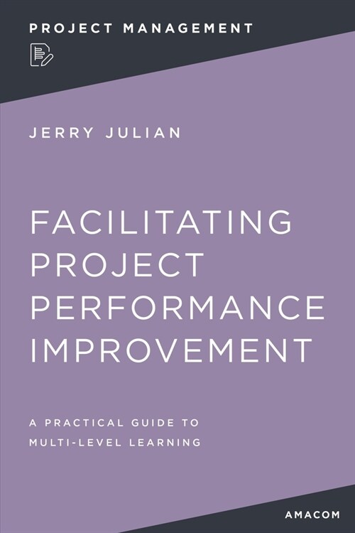 Facilitating Project Performance Improvement: A Practical Guide to Multi-Level Learning (Paperback)