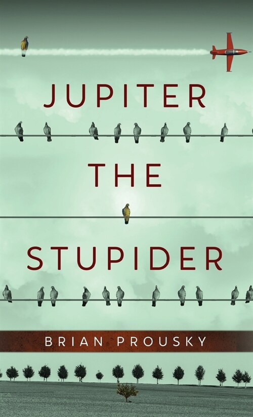 Jupiter the Stupider (Hardcover)