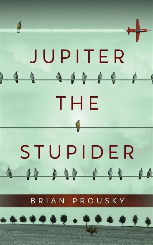 Jupiter the Stupider (Paperback)