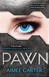 Pawn (Paperback)