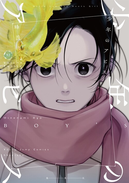 少年のアビス 12 (ヤングジャンプコミックス) (コミック)