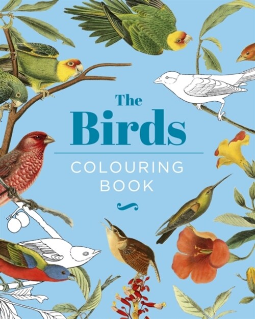 The Birds Colouring Book : Hardback Gift Edition (Hardcover)