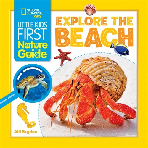 Explore the Beach (Paperback)