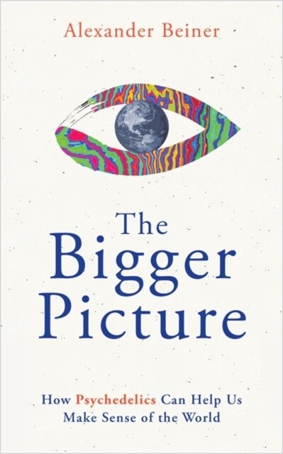 The Bigger Picture : How Psychedelics Can Help Us Make Sense of the World (Paperback)