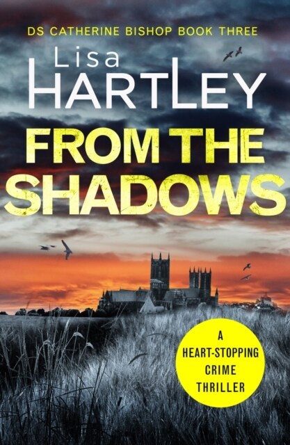 From the Shadows : A heart-stopping crime thriller (Paperback)