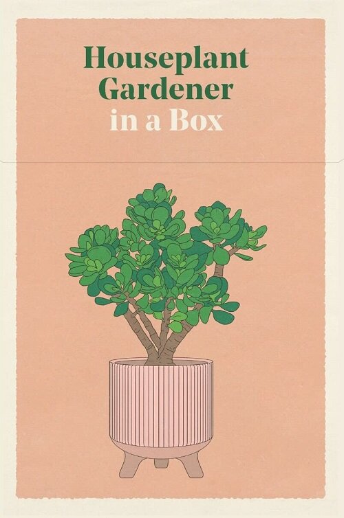 Houseplant Gardener in a Box (Cards)