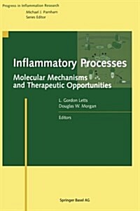 Inflammatory Processes:: Molecular Mechanisms and Therapeutic Opportunities (Paperback, Softcover Repri)