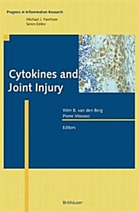 Cytokines and Joint Injury (Paperback, Softcover Repri)