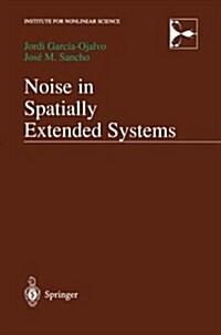 Noise in Spatially Extended Systems (Paperback, Softcover Repri)