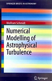 Numerical Modelling of Astrophysical Turbulence (Paperback, 2014)