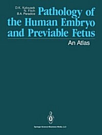 Pathology of the Human Embryo and Previable Fetus: An Atlas (Paperback, Softcover Repri)