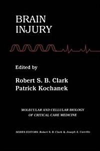 Brain Injury (Paperback, Softcover Repri)