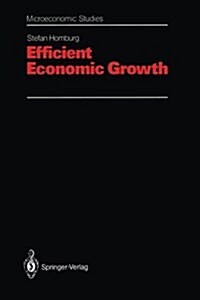 Efficient Economic Growth (Paperback, Softcover Repri)