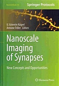 Nanoscale Imaging of Synapses: New Concepts and Opportunities (Hardcover, 2014)