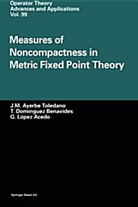 Measures of Noncompactness in Metric Fixed Point Theory (Paperback)