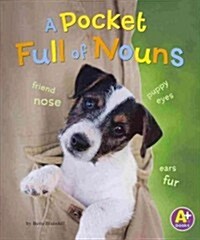 A Pocket Full of Nouns (Paperback)