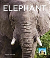 Elephant (Library Binding)