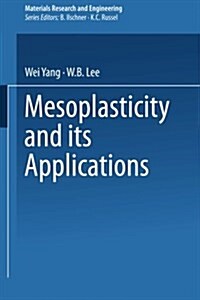 Mesoplasticity and Its Applications (Paperback)