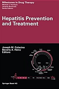 Hepatitis Prevention and Treatment (Paperback)