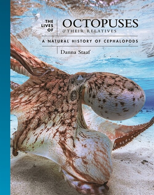 The Lives of Octopuses and Their Relatives: A Natural History of Cephalopods (Hardcover)