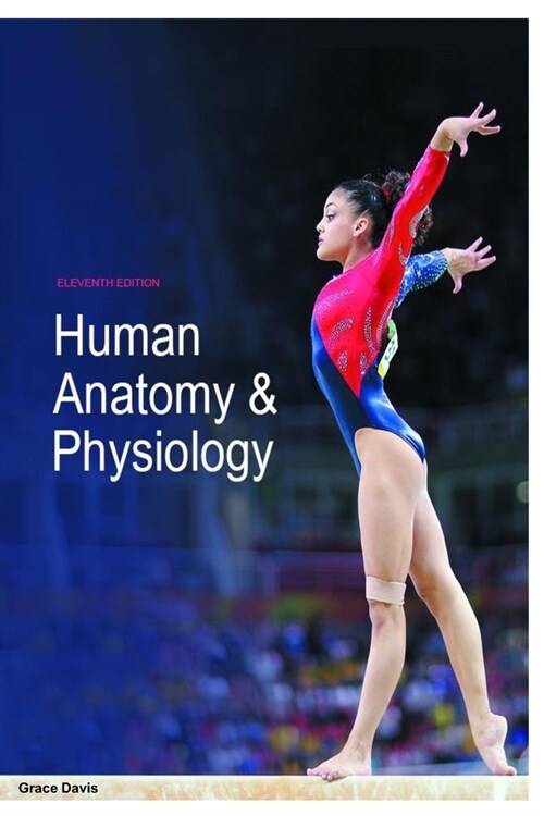 Human Anatomy & Physiology (Paperback)