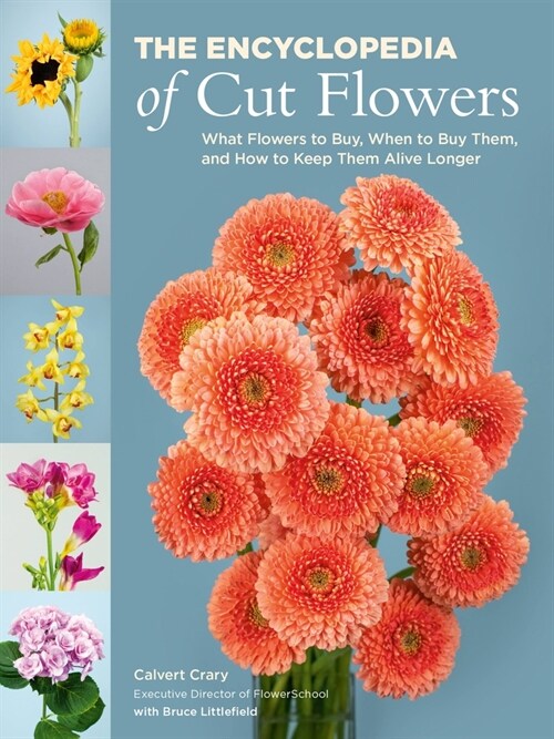 The Encyclopedia of Cut Flowers: What Flowers to Buy, When to Buy Them, and How to Keep Them Alive Longer (Paperback)