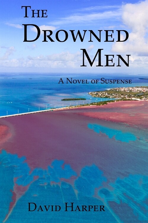 The Drowned Men: A Novel of Suspense (Paperback)