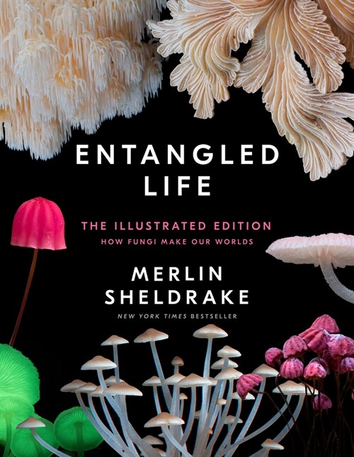 Entangled Life: The Illustrated Edition: How Fungi Make Our Worlds (Hardcover)