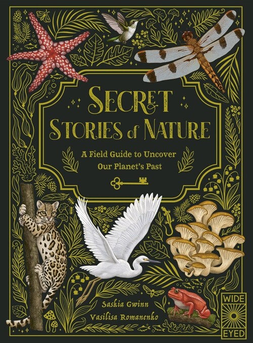 Secret Stories of Nature : A Field Guide to Uncover Our Planets Past (Hardcover)