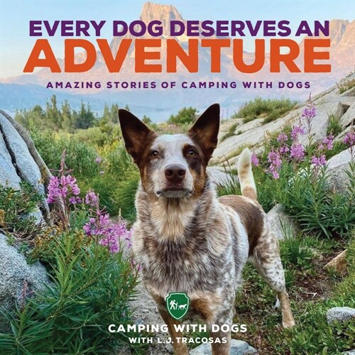 Every Dog Deserves an Adventure: Amazing Stories of Camping with Dogs (Hardcover)