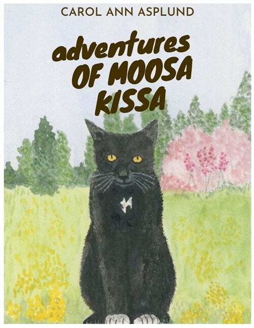 Adventures of Moosa Kissa (Paperback)
