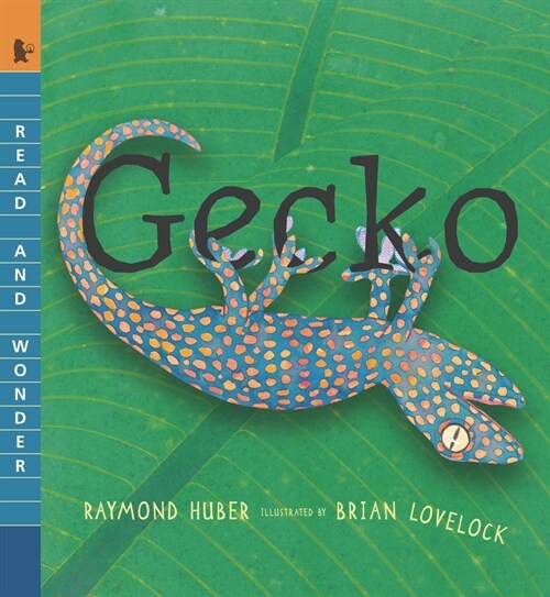 Gecko: Read and Wonder (Paperback)