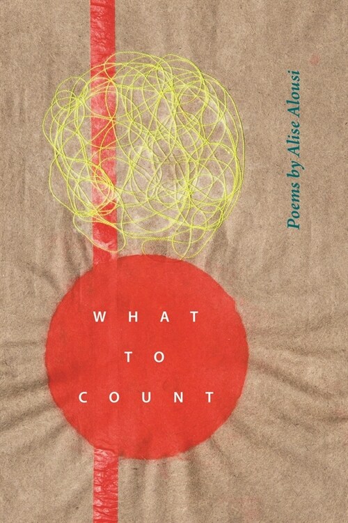 What to Count (Paperback)