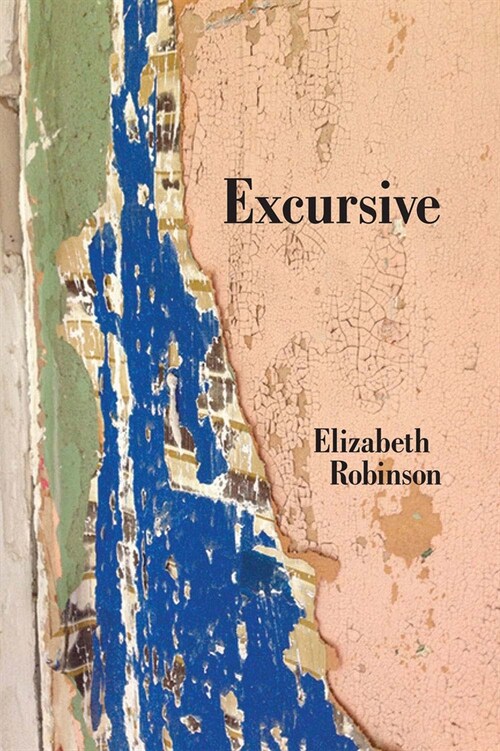 Excursive (Paperback)