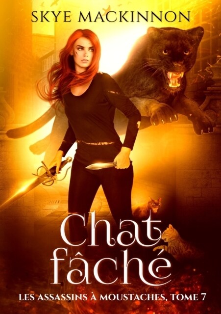 Chat f?h? (Paperback)