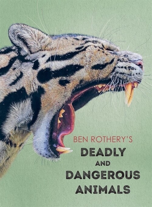 Ben Rotherys Deadly and Dangerous Animals (Hardcover)