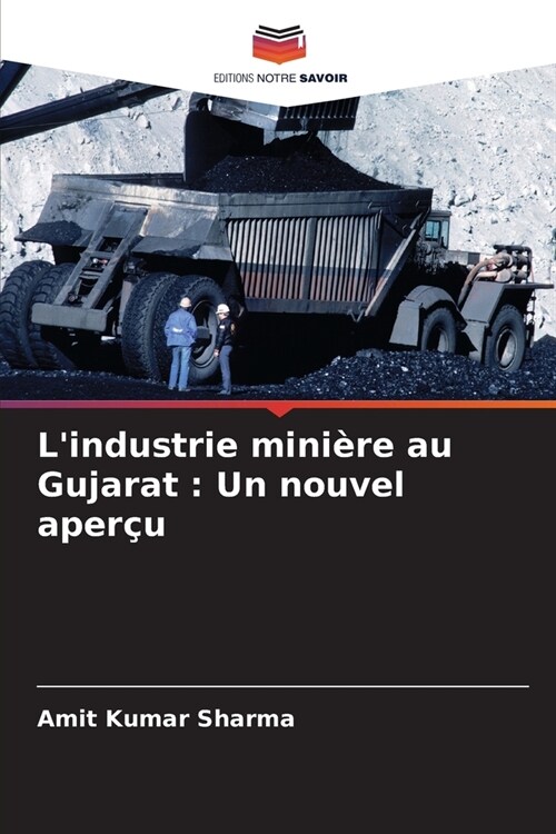 Lindustrie mini?e au Gujarat: Un nouvel aper? (Paperback)