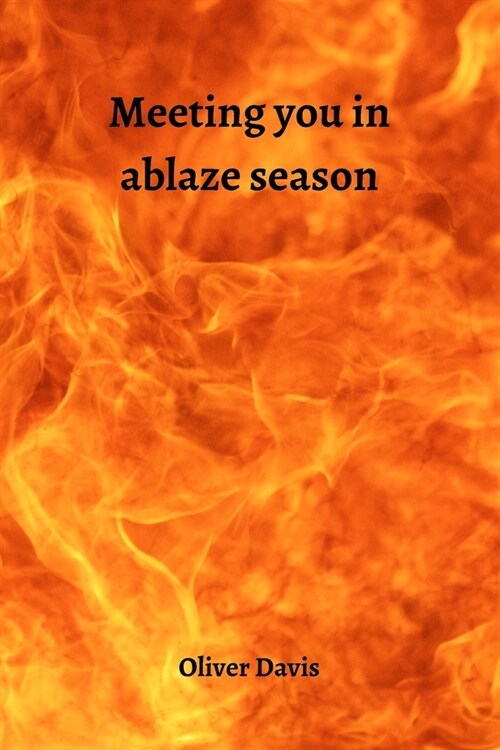 Meeting you in ablaze season (Paperback)