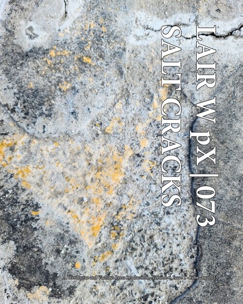 LAIR W pX 073 Salt Cracks (Paperback)