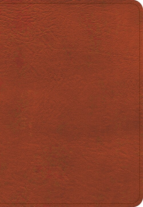 KJV Large Print Compact Reference Bible, Burnt Sienna Leathertouch (Imitation Leather)