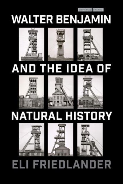 Walter Benjamin and the Idea of Natural History (Paperback)