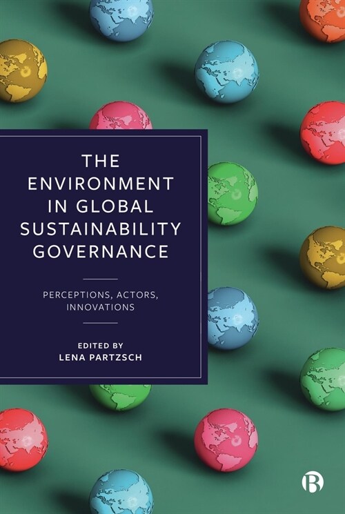 The Environment in Global Sustainability Governance : Perceptions, Actors, Innovations (Paperback)