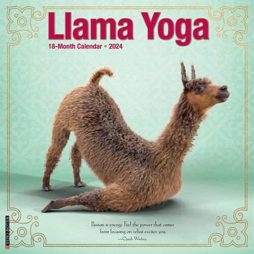 Llama Yoga 2024 12 X 12 Wall Calendar (Wall)