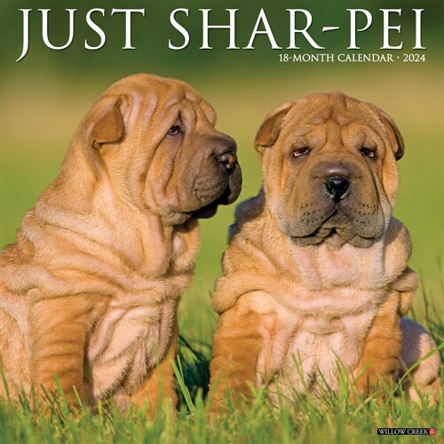 Just Shar-Peis 2024 12 X 12 Wall Calendar (Wall)